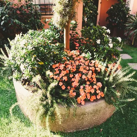 Minerva Szálloda 3*